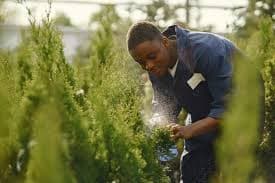 Gardeners